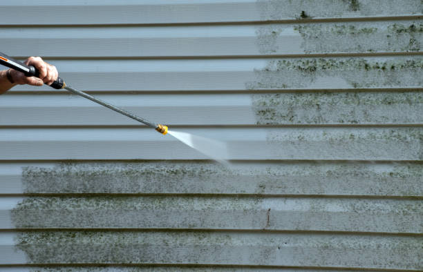 Best Solar Panel Cleaning  in Baltimore Highlands, MD